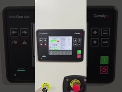 Естественный CHP